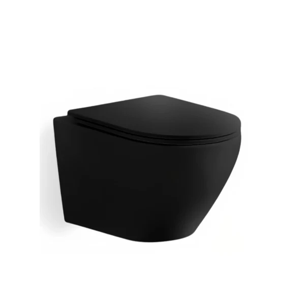 Palici Wall-hung Rimless Soft-Close Seat and Cover for Toilet WH-003 Black