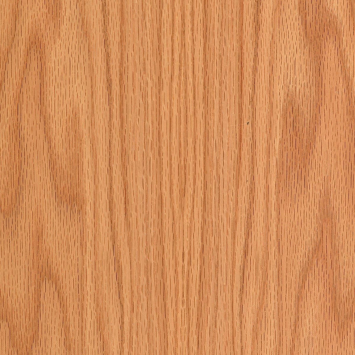 Red Oak Decorative Plywood Panel