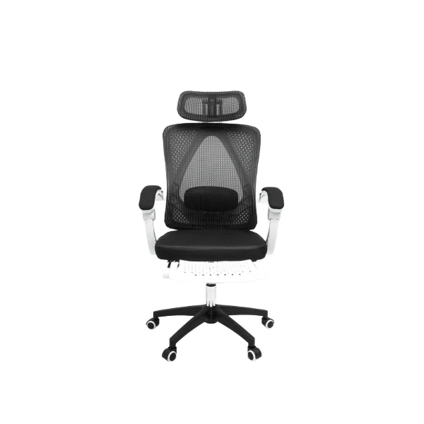 ATLAS Ergonomic Chair