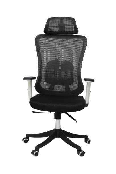 Pluto Ergonomic Chair